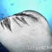 shark_whale_dr_ci_h_0062_cos3784.jpg